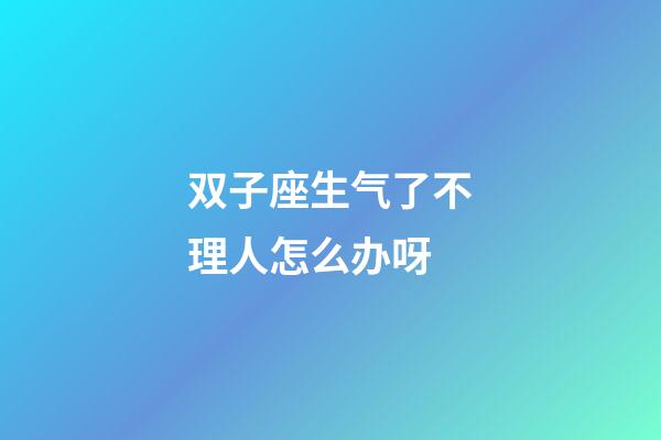 双子座生气了不理人怎么办呀-第1张-星座运势-玄机派