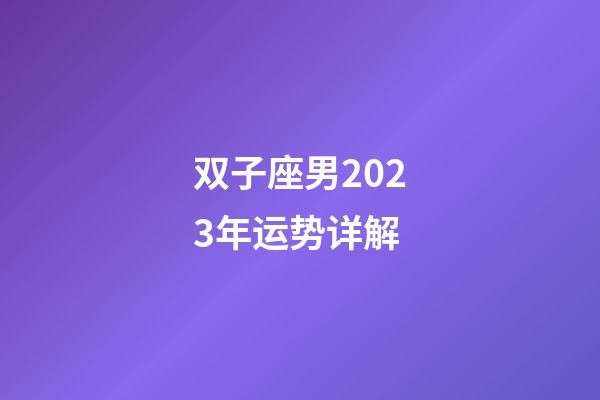 双子座男2023年运势详解-第1张-星座运势-玄机派