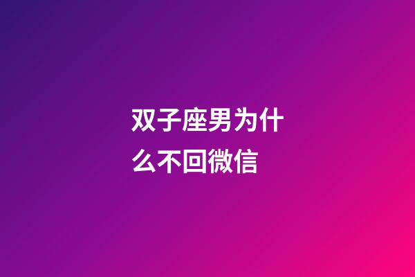 双子座男为什么不回微信-第1张-星座运势-玄机派