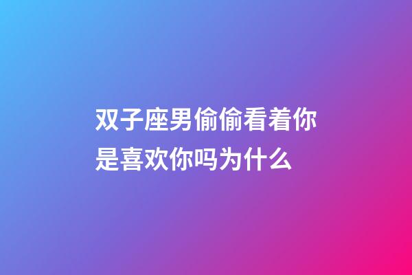 双子座男偷偷看着你是喜欢你吗为什么-第1张-星座运势-玄机派