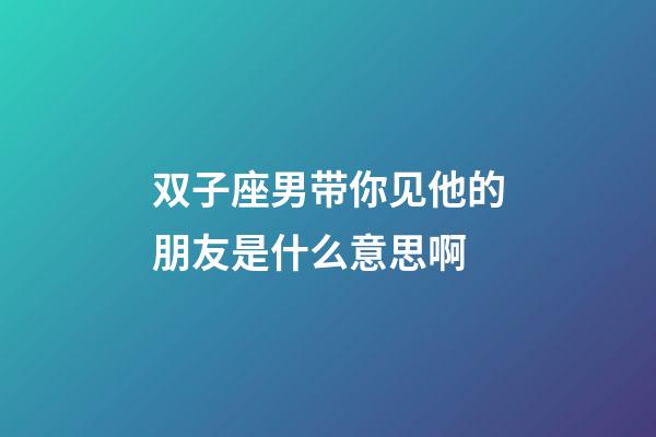双子座男带你见他的朋友是什么意思啊