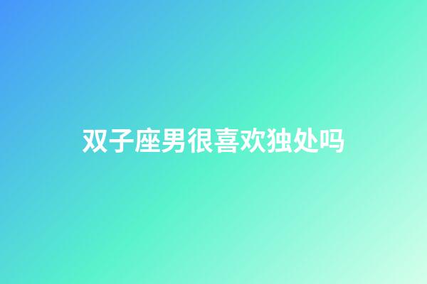 双子座男很喜欢独处吗-第1张-星座运势-玄机派