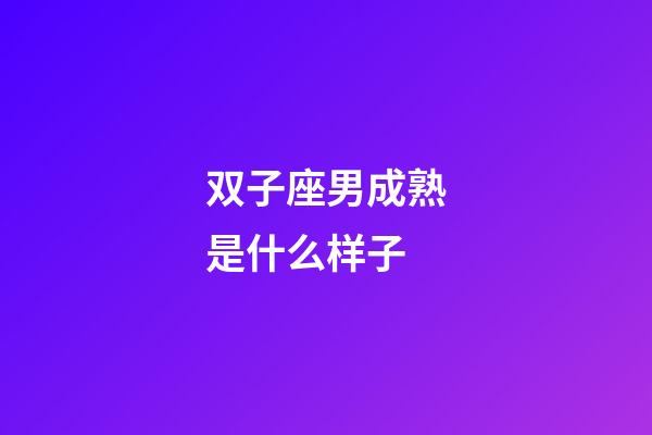 双子座男成熟是什么样子