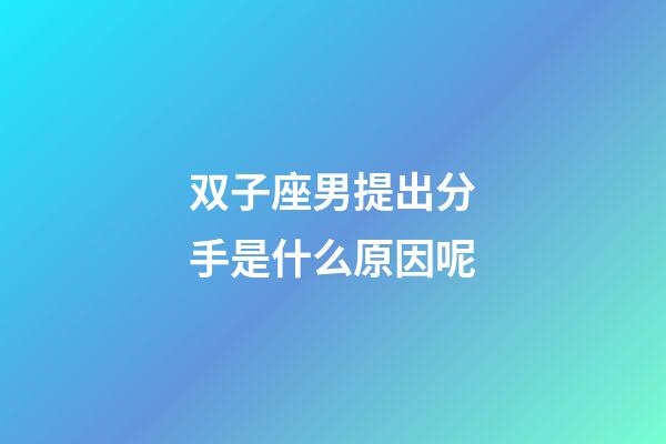 双子座男提出分手是什么原因呢-第1张-星座运势-玄机派