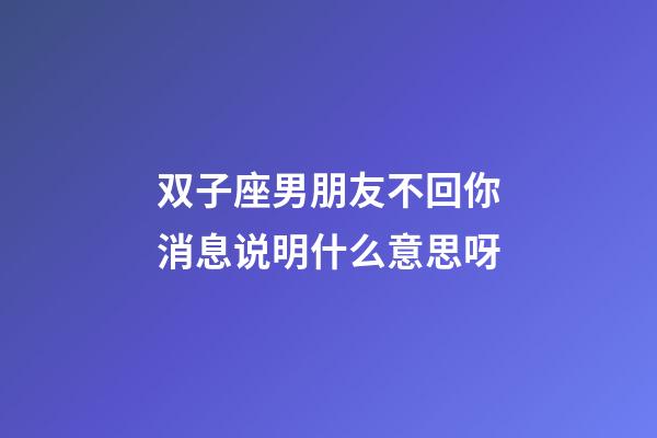 双子座男朋友不回你消息说明什么意思呀-第1张-星座运势-玄机派