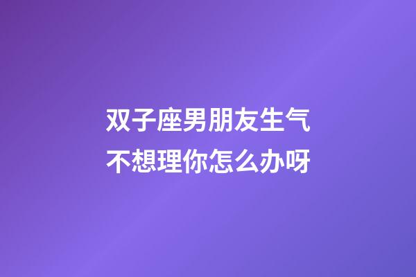 双子座男朋友生气不想理你怎么办呀-第1张-星座运势-玄机派