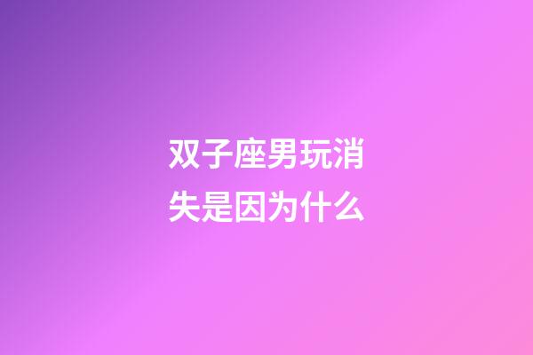 双子座男玩消失是因为什么-第1张-星座运势-玄机派
