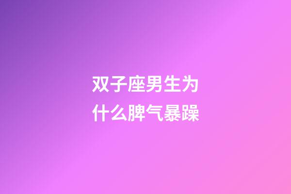 双子座男生为什么脾气暴躁-第1张-星座运势-玄机派