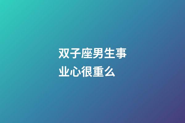 双子座男生事业心很重么