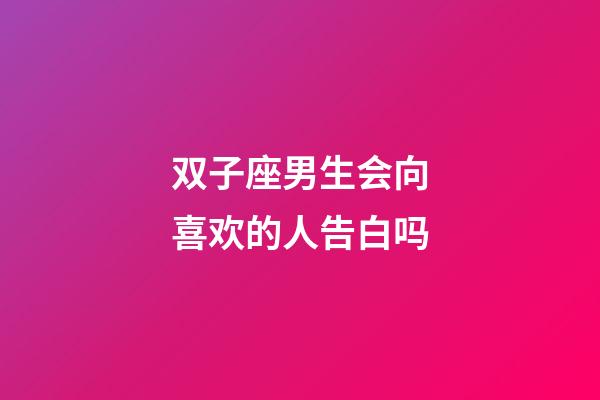 双子座男生会向喜欢的人告白吗-第1张-星座运势-玄机派