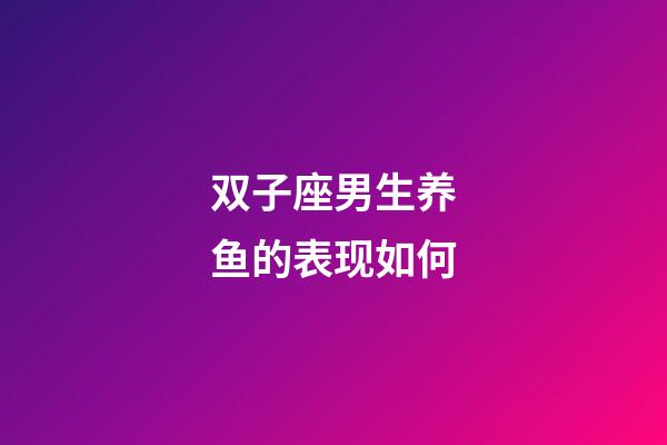 双子座男生养鱼的表现如何
