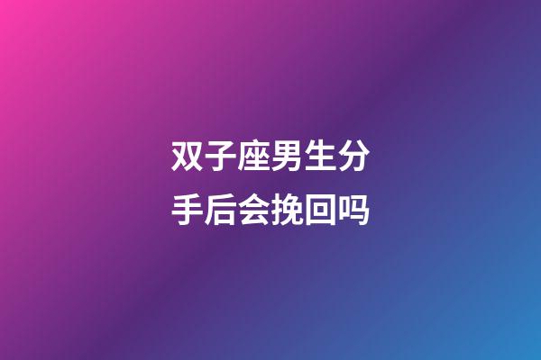 双子座男生分手后会挽回吗-第1张-星座运势-玄机派