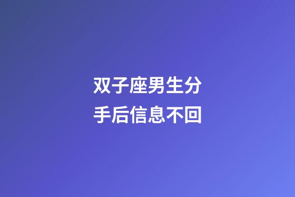 双子座男生分手后信息不回-第1张-星座运势-玄机派