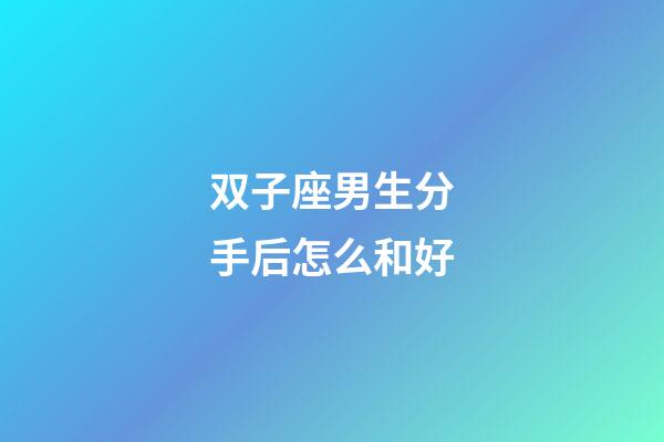 双子座男生分手后怎么和好-第1张-星座运势-玄机派