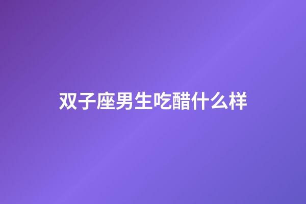 双子座男生吃醋什么样-第1张-星座运势-玄机派