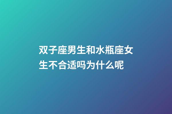 双子座男生和水瓶座女生不合适吗为什么呢-第1张-星座运势-玄机派