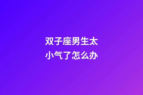 双子座男生太小气了怎么办-第1张-星座运势-玄机派
