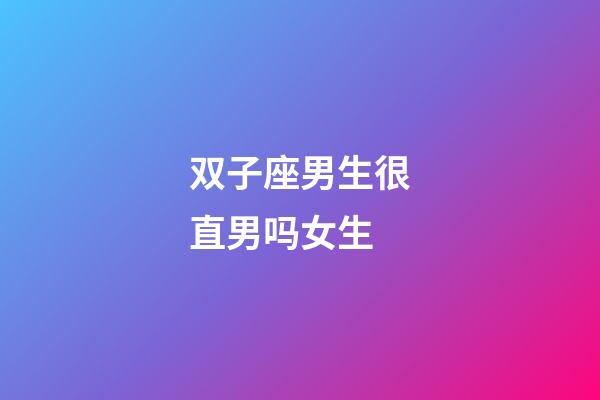 双子座男生很直男吗女生-第1张-星座运势-玄机派