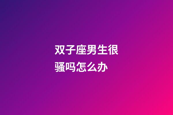 双子座男生很骚吗怎么办-第1张-星座运势-玄机派