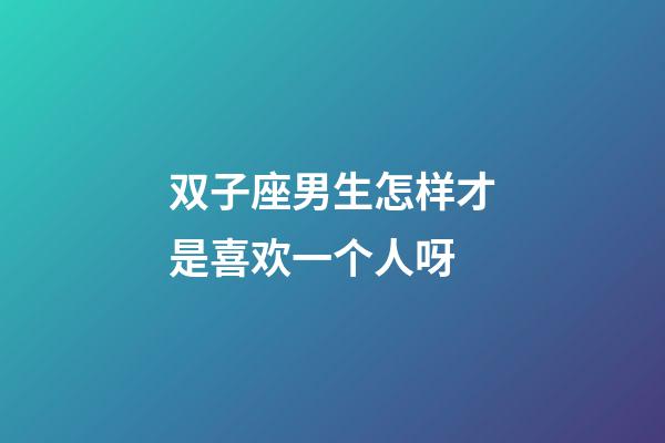 双子座男生怎样才是喜欢一个人呀-第1张-星座运势-玄机派