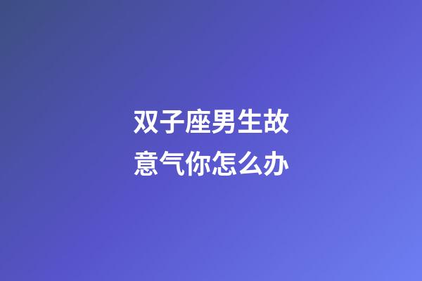双子座男生故意气你怎么办-第1张-星座运势-玄机派