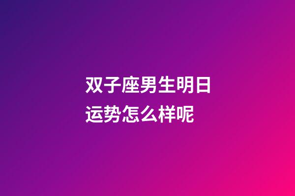 双子座男生明日运势怎么样呢-第1张-星座运势-玄机派