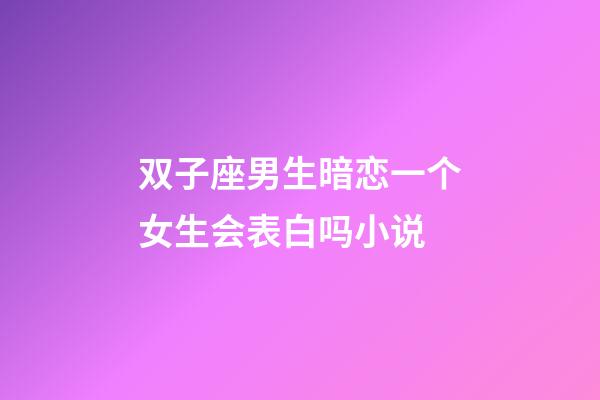 双子座男生暗恋一个女生会表白吗小说-第1张-星座运势-玄机派