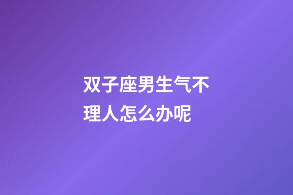 双子座男生气不理人怎么办呢-第1张-星座运势-玄机派
