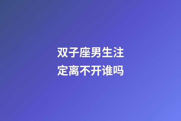 双子座男生注定离不开谁吗-第1张-星座运势-玄机派