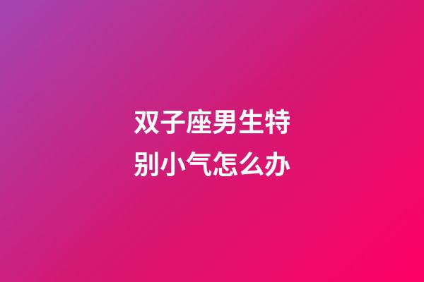 双子座男生特别小气怎么办-第1张-星座运势-玄机派