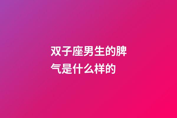 双子座男生的脾气是什么样的-第1张-星座运势-玄机派