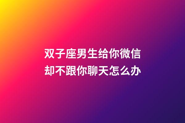 双子座男生给你微信却不跟你聊天怎么办-第1张-星座运势-玄机派