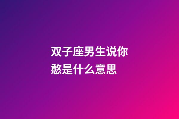 双子座男生说你憨是什么意思-第1张-星座运势-玄机派