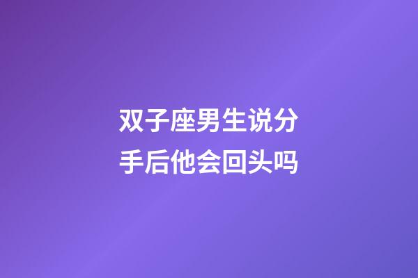 双子座男生说分手后他会回头吗-第1张-星座运势-玄机派