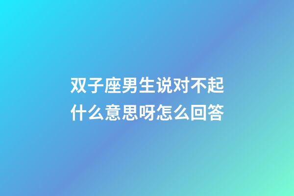 双子座男生说对不起什么意思呀怎么回答-第1张-星座运势-玄机派