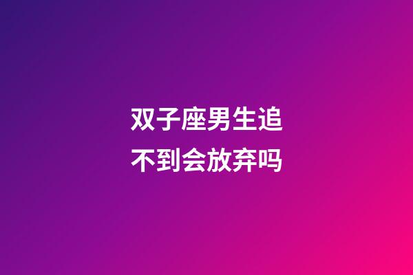 双子座男生追不到会放弃吗-第1张-星座运势-玄机派