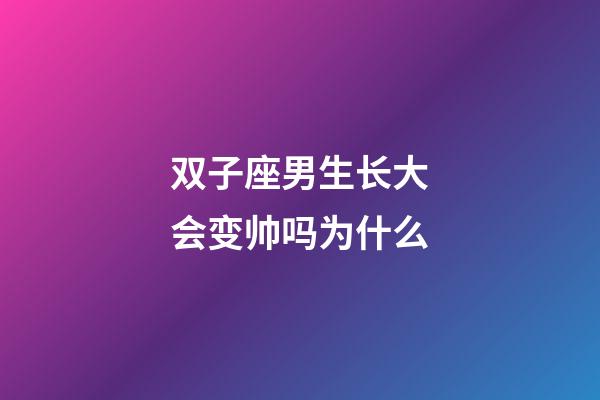 双子座男生长大会变帅吗为什么-第1张-星座运势-玄机派