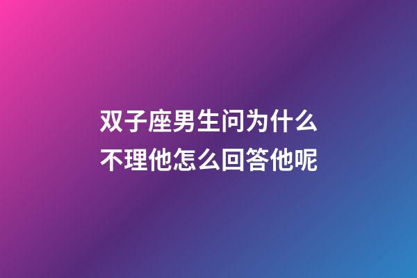 双子座男生问为什么不理他怎么回答他呢-第1张-星座运势-玄机派