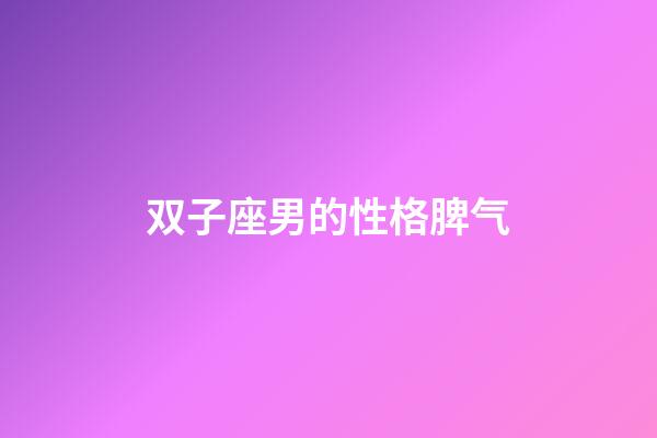 双子座男的性格脾气（双子座的男生脾气好吗）-第1张-星座运势-玄机派