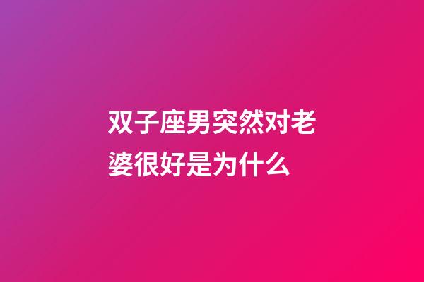 双子座男突然对老婆很好是为什么-第1张-星座运势-玄机派