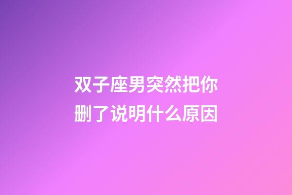 双子座男突然把你删了说明什么原因-第1张-星座运势-玄机派