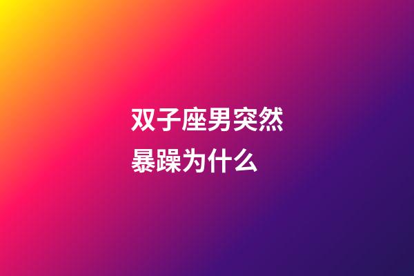 双子座男突然暴躁为什么-第1张-星座运势-玄机派