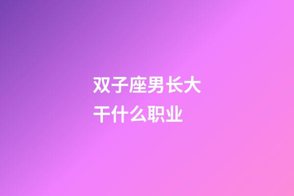 双子座男长大干什么职业-第1张-星座运势-玄机派