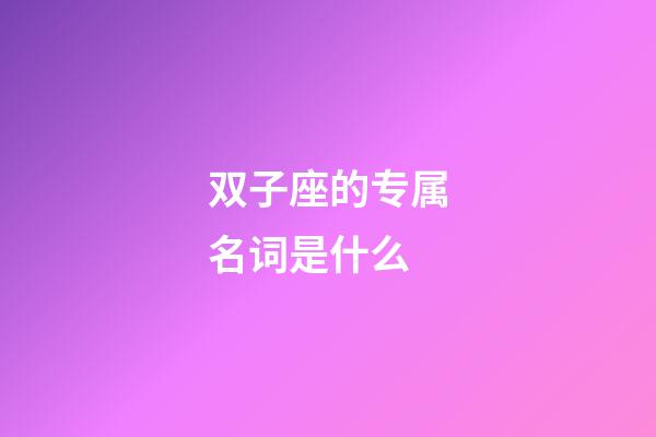双子座的专属名词是什么