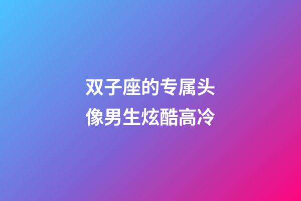双子座的专属头像男生炫酷高冷-第1张-星座运势-玄机派
