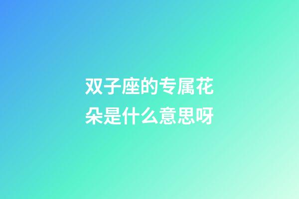 双子座的专属花朵是什么意思呀-第1张-星座运势-玄机派