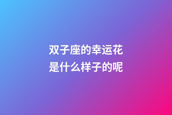 双子座的幸运花是什么样子的呢-第1张-星座运势-玄机派