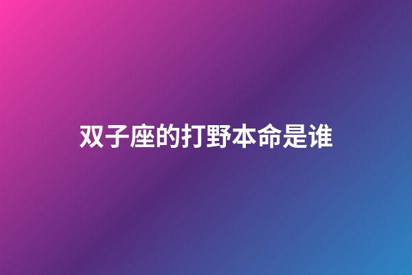 双子座的打野本命是谁