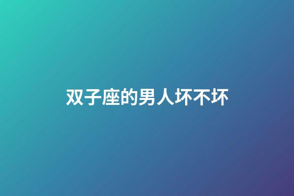 双子座的男人坏不坏-第1张-星座运势-玄机派
