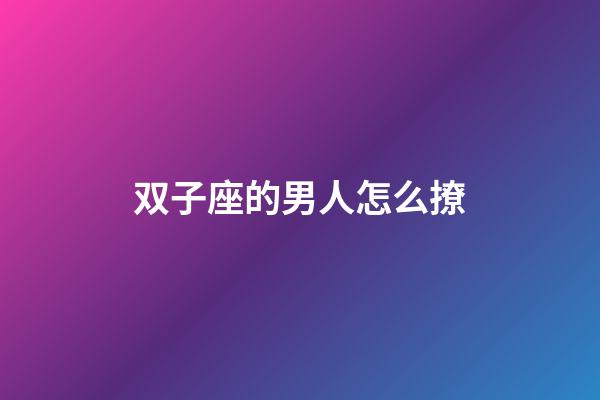 双子座的男人怎么撩-第1张-星座运势-玄机派